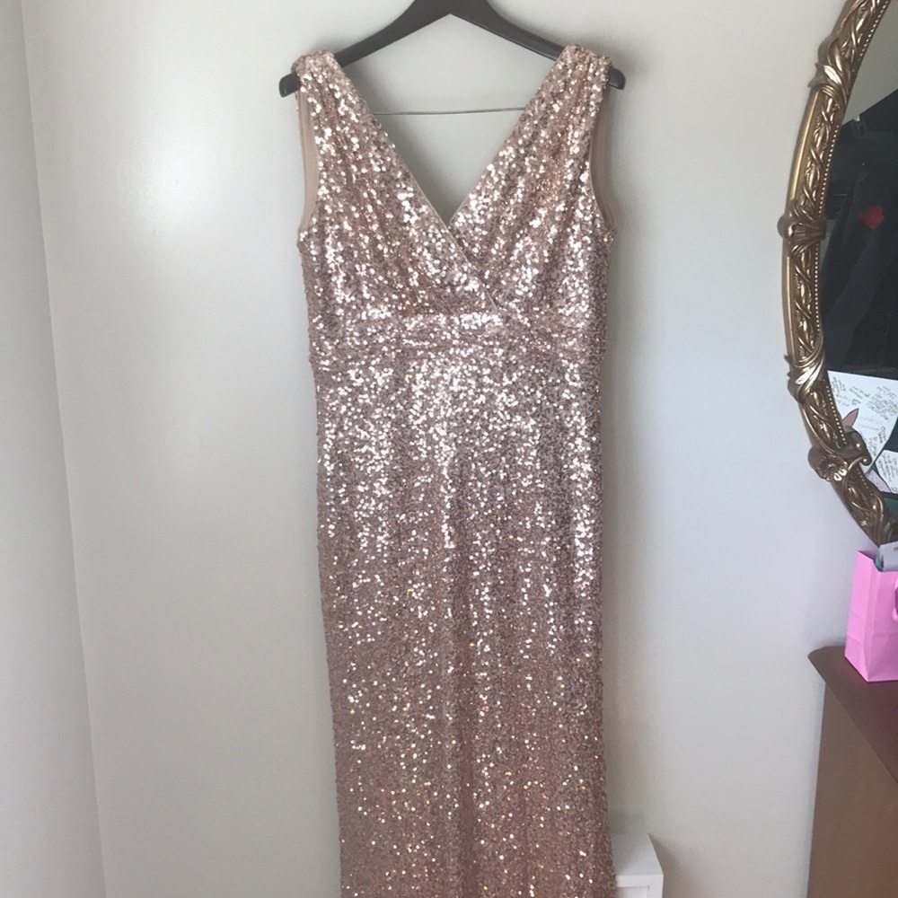 COPY - Badgley Mischka Rose Good sequin dress